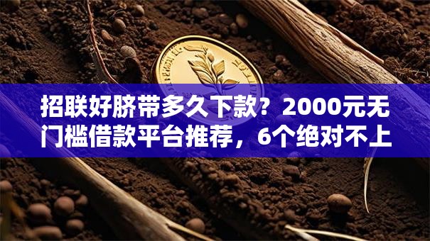 招联好脐带多久下款？2000元无门槛借款平台推荐，6个绝对不上征信的贷款平台盘点