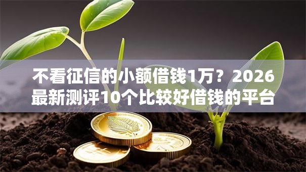 不看征信的小额借钱1万?2026最新测评10个比较好借钱的平台 不看征信的小额借钱1万?2026最新测评10个比较好借钱的平台