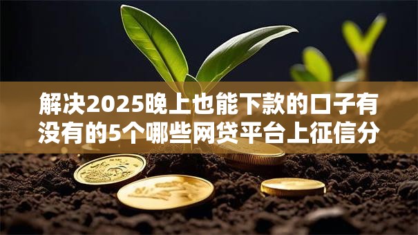 解决2025晚上也能下款的口子有没有的5个哪些网贷平台上征信分享