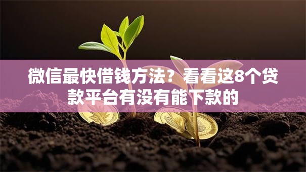 微信最快借钱方法？看看这8个贷款平台有没有能下款的