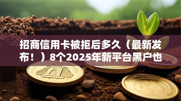 招商信用卡被拒后多久（最新发布！）8个2025年新平台黑户也能下款这种