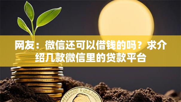 网友：微信还可以借钱的吗？求介绍几款微信里的贷款平台