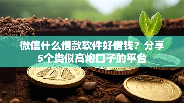 微信什么借款软件好借钱？分享5个类似高炮口子的平台