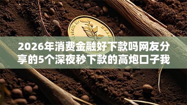 2026年消费金融好下款吗网友分享的5个深夜秒下款的高炮口子我觉得不错！