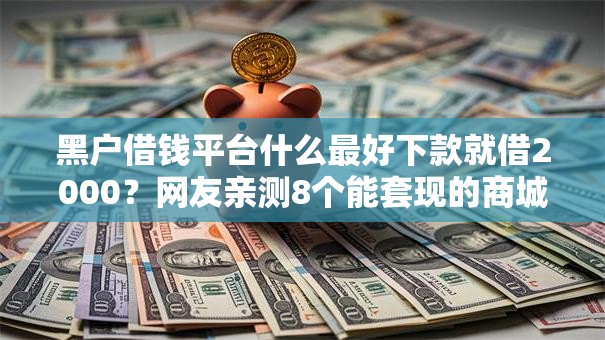 黑户借钱平台什么最好下款就借2000？网友亲测8个能套现的商城口子盘点