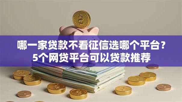 哪一家贷款不看征信选哪个平台？5个网贷平台可以贷款推荐