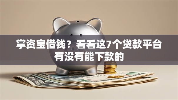 掌资宝借钱？看看这7个贷款平台有没有能下款的