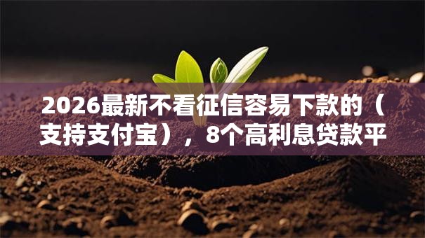 2026最新不看征信容易下款的（支持支付宝），8个高利息贷款平台无私分享