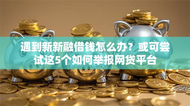 遇到新新融借钱怎么办？或可尝试这5个如何举报网贷平台