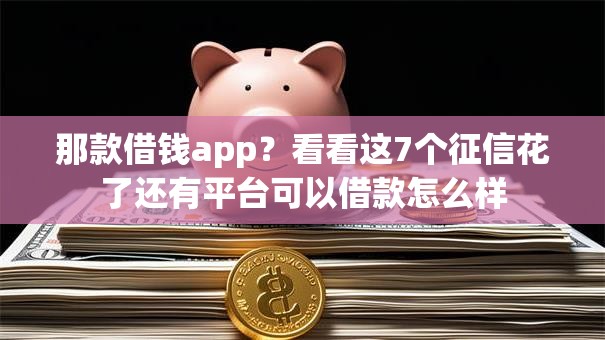 那款借钱app？看看这7个征信花了还有平台可以借款怎么样