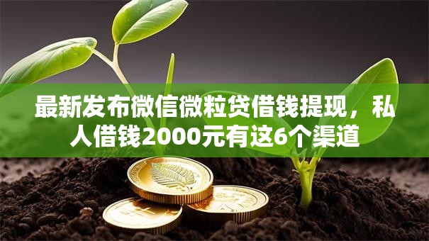 最新发布微信微粒贷借钱提现，私人借钱2000元有这6个渠道