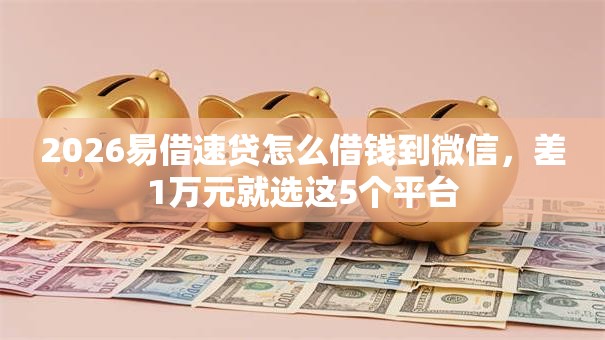 2026易借速贷怎么借钱到微信，差1万元就选这5个平台