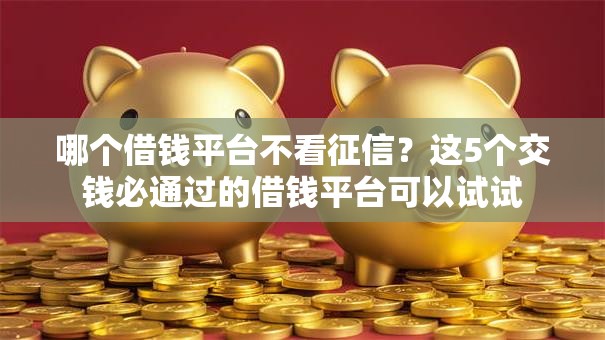 哪个借钱平台不看征信？这5个交钱必通过的借钱平台可以试试