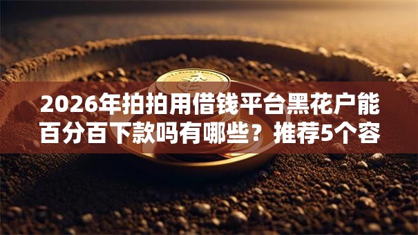 2026年拍拍用借钱平台黑花户能百分百下款吗有哪些？推荐5个容易下款的平台