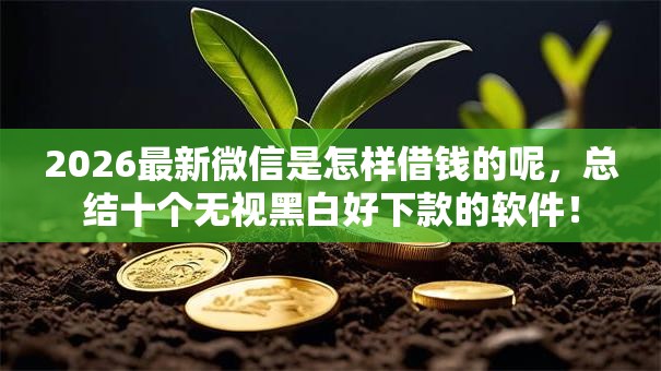 2026最新微信是怎样借钱的呢，总结十个无视黑白好下款的软件！
