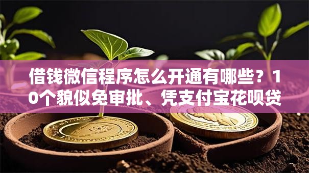 借钱微信程序怎么开通有哪些?10个貌似免审批、凭支付宝花呗贷款的口子合集 借钱微信程序怎么开通有哪些?10个貌似免审批、凭支付宝花呗贷款的口子合集