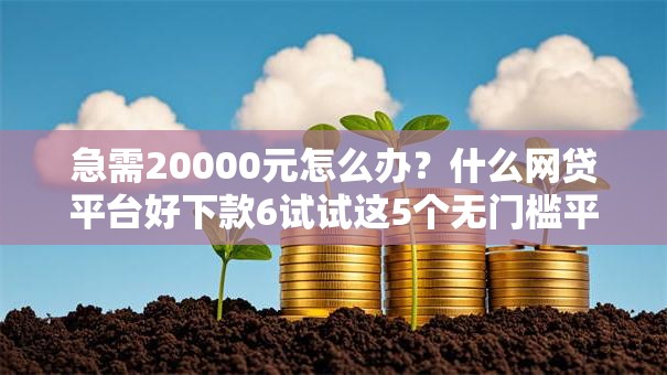 急需20000元怎么办？什么网贷平台好下款6试试这5个无门槛平台