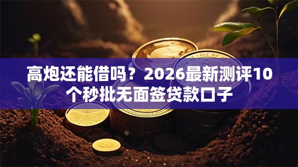 高炮还能借吗？2026最新测评10个秒批无面签贷款口子