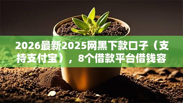 2026最新2025网黑下款口子（支持支付宝），8个借款平台借钱容易通过无私分享
