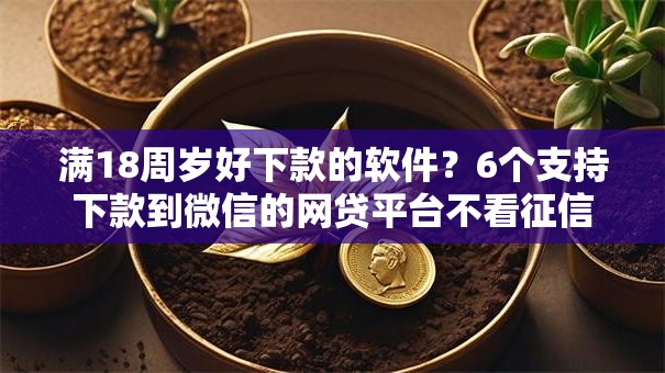 满18周岁好下款的软件?6个支持下款到微信的网贷平台不看征信最好下款 满18周岁好下款的软件?6个支持下款到微信的网贷平台不看征信最好下款