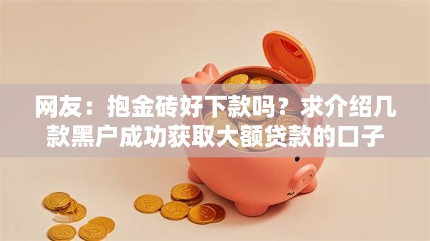 网友：抱金砖好下款吗？求介绍几款黑户成功获取大额贷款的口子