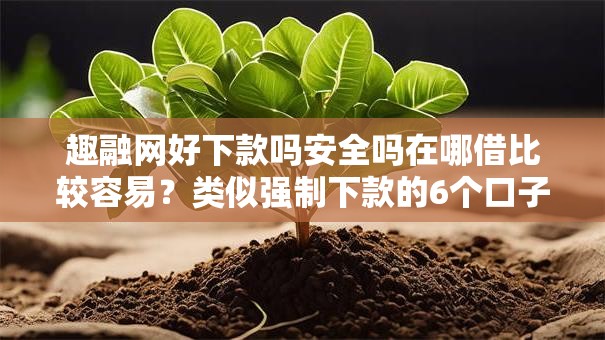 趣融网好下款吗安全吗在哪借比较容易?类似强制下款的6个口子参考 趣融网好下款吗安全吗在哪借比较容易?类似强制下款的6个口子参考
