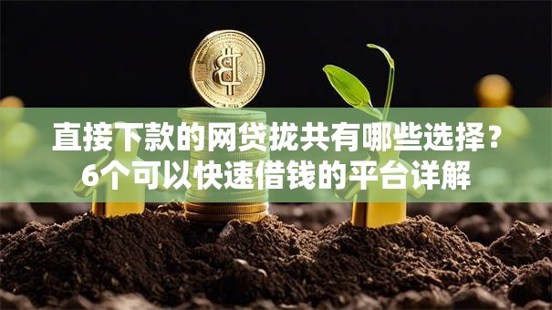直接下款的网贷拢共有哪些选择？6个可以快速借钱的平台详解