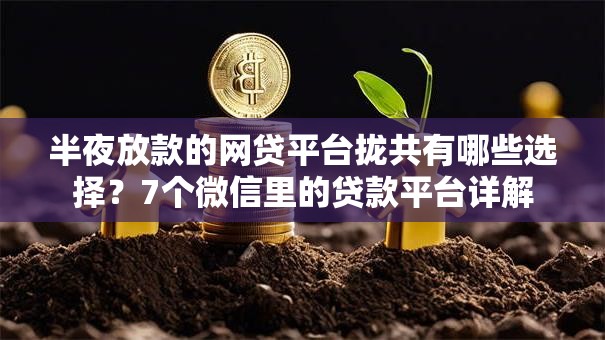半夜放款的网贷平台拢共有哪些选择？7个微信里的贷款平台详解