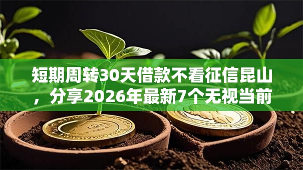 短期周转30天借款不看征信昆山,分享2026年最新7个无视当前逾期无视征信的借款口子 短期周转30天借款不看征信昆山,分享2026年最新7个无视当前逾期无视征信的借款口子