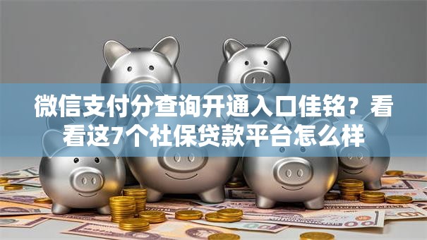 微信支付分查询开通入口佳铭?看看这7个社保贷款平台怎么样 微信支付分查询开通入口佳铭?看看这7个社保贷款平台怎么样