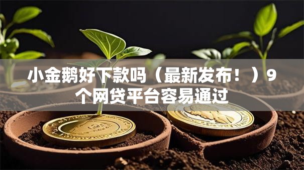 小金鹅好下款吗（最新发布！）9个网贷平台容易通过