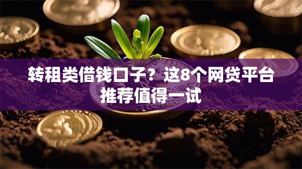 转租类借钱口子？这8个网贷平台推荐值得一试