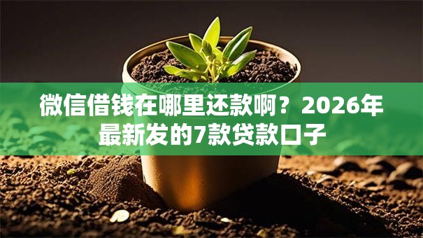 微信借钱在哪里还款啊？2026年最新发的7款贷款口子