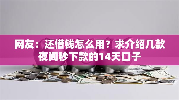 网友:还借钱怎么用?求介绍几款夜间秒下款的14天口子 网友:还借钱怎么用?求介绍几款夜间秒下款的14天口子