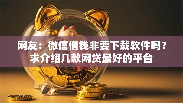 网友：微信借钱非要下载软件吗？求介绍几款网贷最好的平台