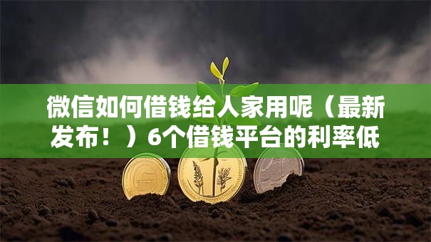 微信如何借钱给人家用呢（最新发布！）6个借钱平台的利率低