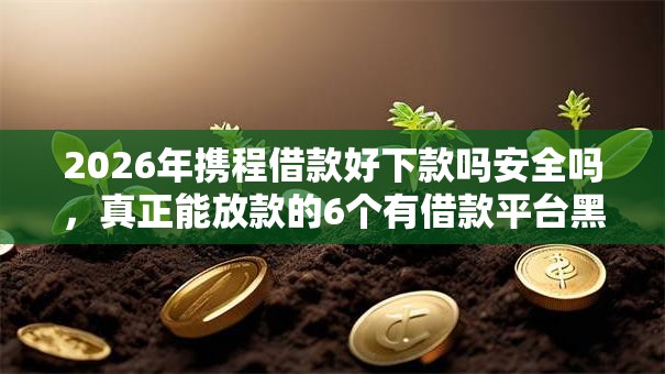 2026年携程借款好下款吗安全吗,真正能放款的6个有借款平台黑户也能借推荐 2026年携程借款好下款吗安全吗,真正能放款的6个有借款平台黑户也能借推荐