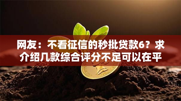 网友：不看征信的秒批贷款6？求介绍几款综合评分不足可以在平台借到钱