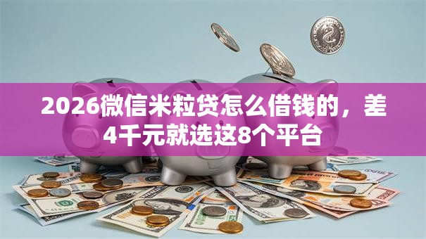 2026微信米粒贷怎么借钱的，差4千元就选这8个平台