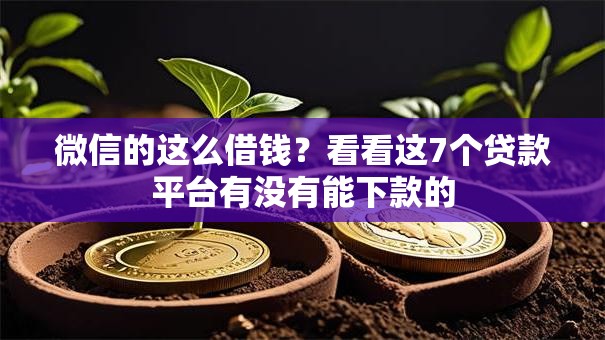 微信的这么借钱?看看这7个贷款平台有没有能下款的 微信的这么借钱?看看这7个贷款平台有没有能下款的