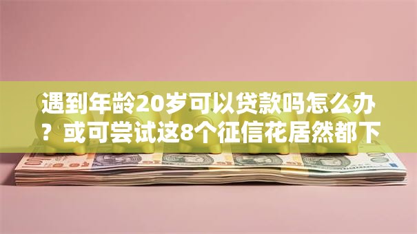 遇到年龄20岁可以贷款吗怎么办？或可尝试这8个征信花居然都下款了的口子