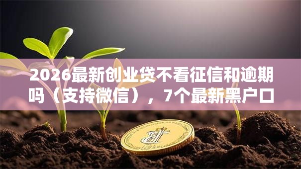 2026最新创业贷不看征信和逾期吗(支持微信),7个最新黑户口子无私分享 2026最新创业贷不看征信和逾期吗(支持微信),7个最新黑户口子无私分享