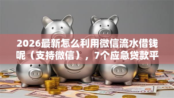 2026最新怎么利用微信流水借钱呢（支持微信），7个应急贷款平台无私分享