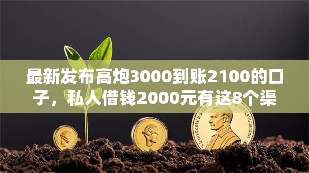 最新发布高炮3000到账2100的口子，私人借钱2000元有这8个渠道