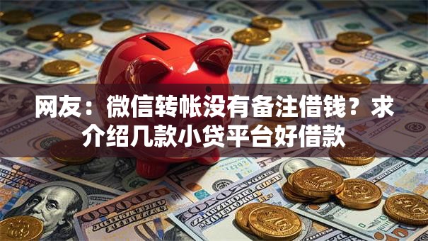 网友：微信转帐没有备注借钱？求介绍几款小贷平台好借款