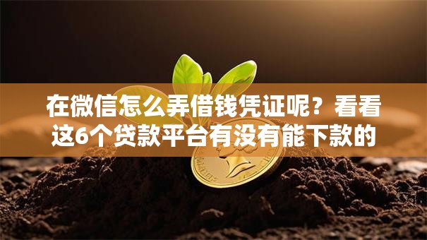在微信怎么弄借钱凭证呢？看看这6个贷款平台有没有能下款的
