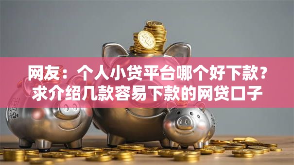 网友：个人小贷平台哪个好下款？求介绍几款容易下款的网贷口子