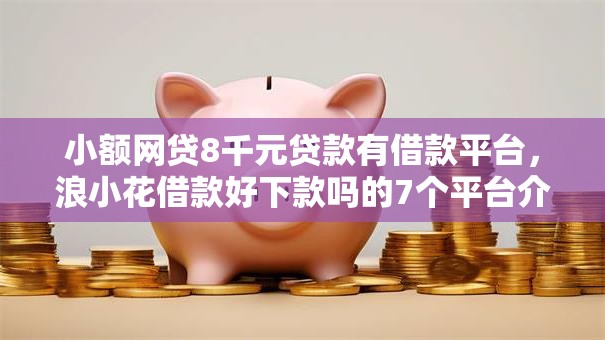 小额网贷8千元贷款有借款平台，浪小花借款好下款吗的7个平台介绍