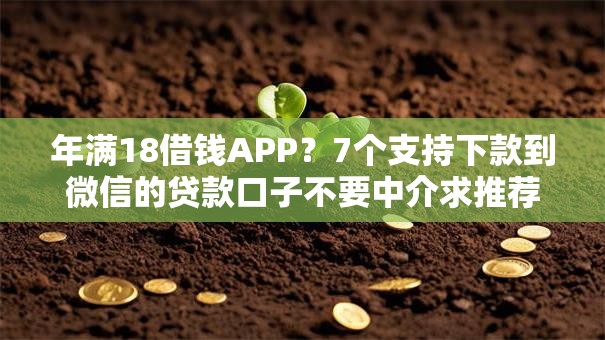 年满18借钱APP？7个支持下款到微信的贷款口子不要中介求推荐