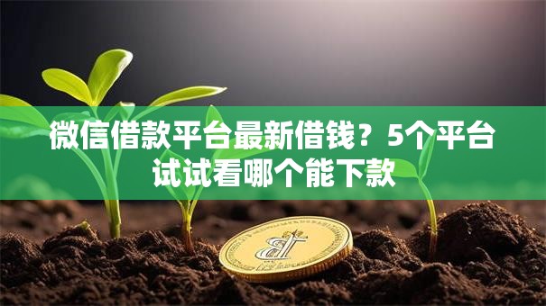 微信借款平台最新借钱?5个平台试试看哪个能下款 微信借款平台最新借钱?5个平台试试看哪个能下款
